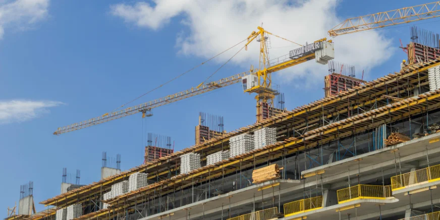 Patira (20)